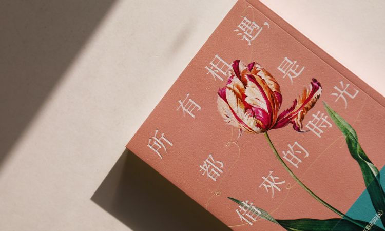 《所有相遇，都是借來的時光》