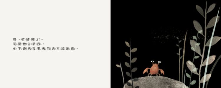 《這不是我的帽子》