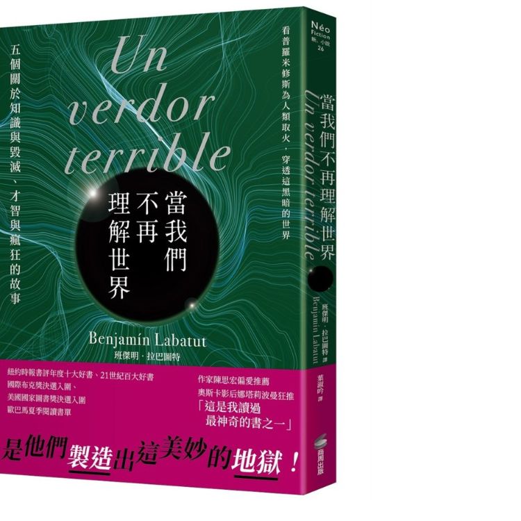 《当我们不再理解世界》