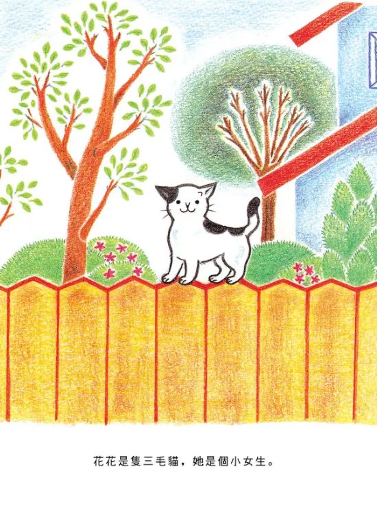 土井香弥童书推荐二：《花花是三毛猫》
