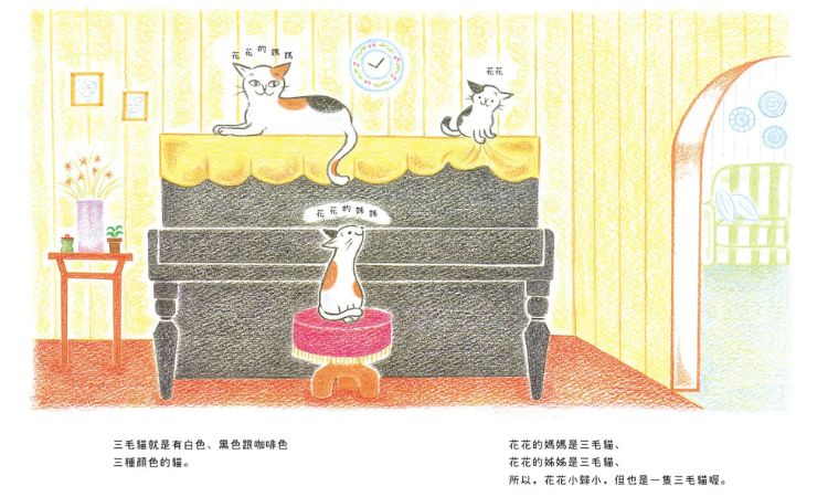 土井香弥童书推荐二：《花花是三毛猫》
