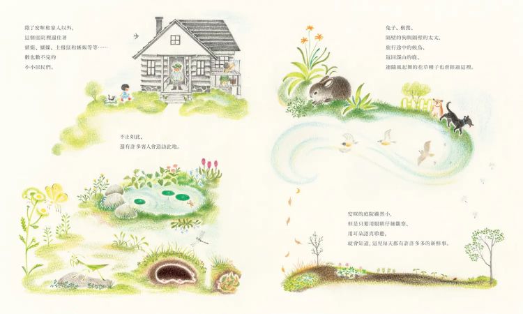 土井香弥童书推荐三：《安咪的庭院》