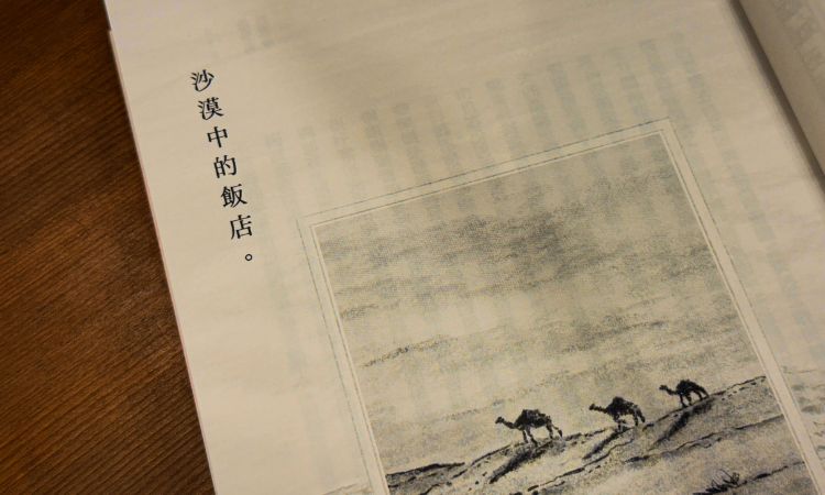 三毛《撒哈拉的故事》充滿孩子氣的生活點滴