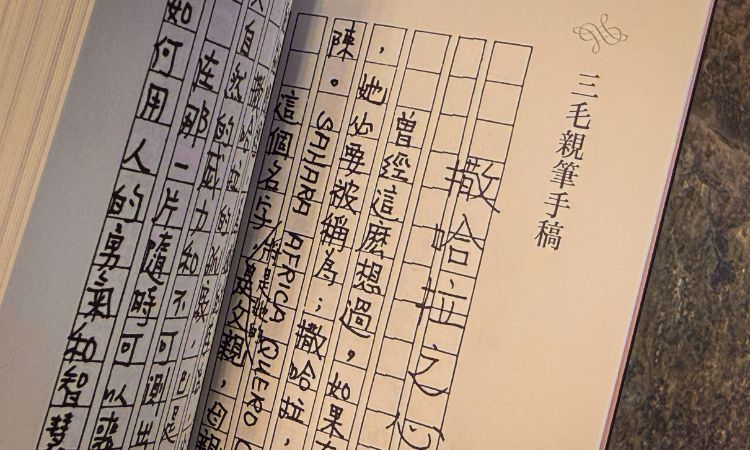 三毛《撒哈拉的故事》不以世俗目光評斷世界