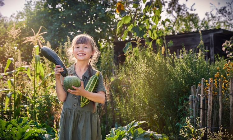食用栉瓜的好处五：护眼
