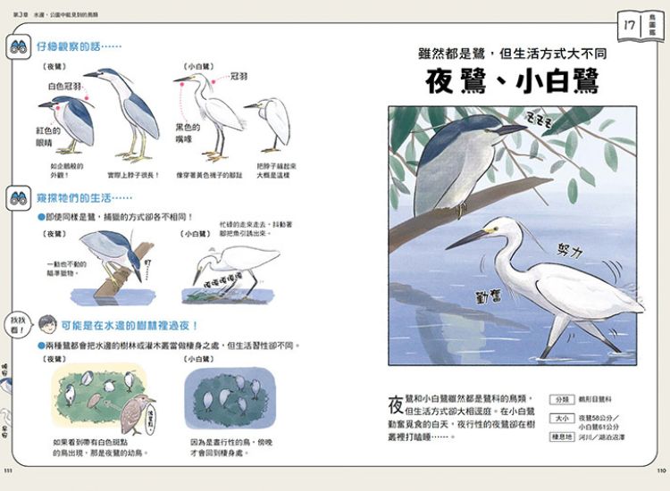 身受人類偏愛的鳥類生物