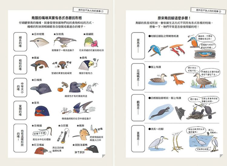 鳥類的身體構造背後的祕密