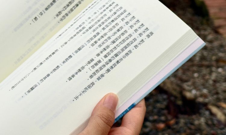 小說《好想死，也好想活下去》面對疾病的無奈與歉意