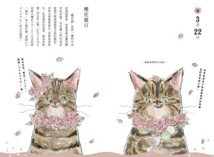收入6個貓貓紀念日！深入了解特殊時日的命名邏輯