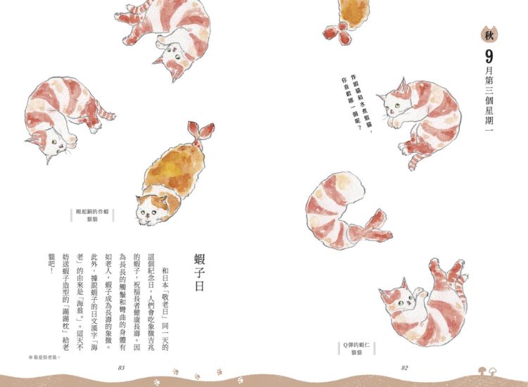 COMUGI村的世界觀大公開，每隻貓貓都有自己的紀念日