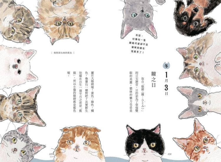 COMUGI村的世界觀大公開，每隻貓貓都有自己的紀念日