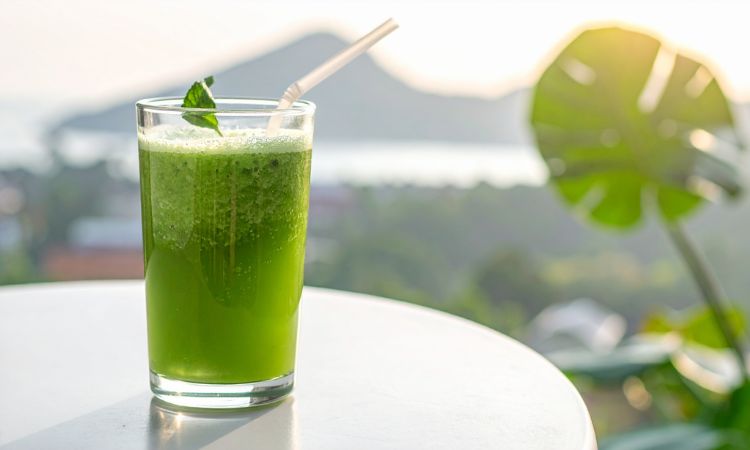 芝麻叶好处一：增强免疫力