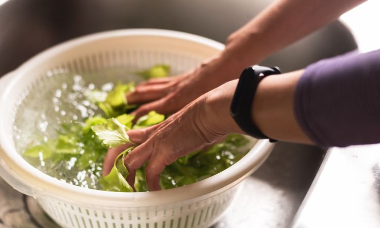 如何清洗芝麻叶？