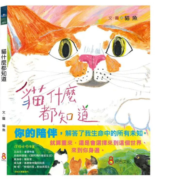 貓什麼都知道