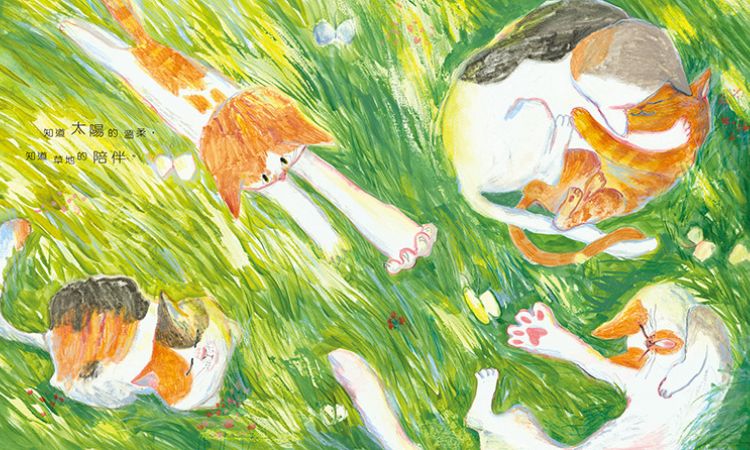圖文書《貓什麼都知道》就算被傷害，仍記得世界溫柔的樣貌