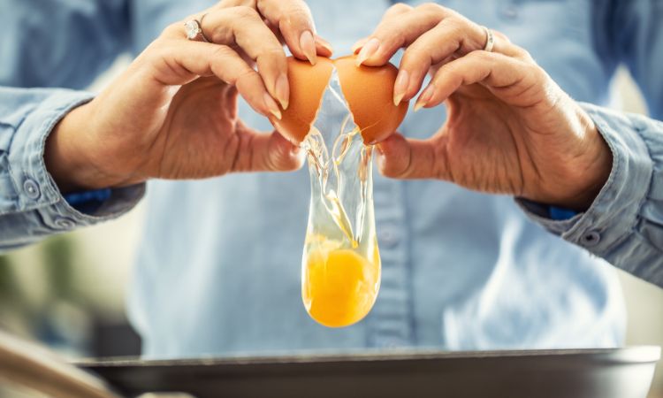 感染沙門氏菌是因為食用生雞蛋嗎？