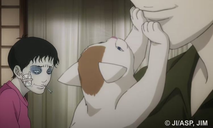 《双一》系列