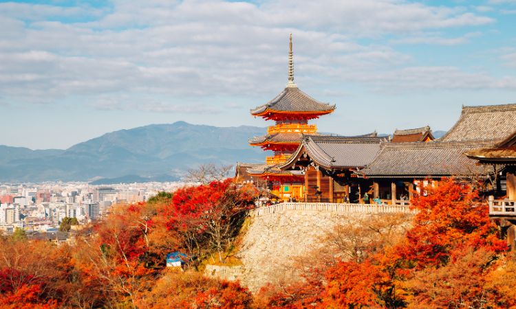 带长辈旅游的国家推荐一：日本