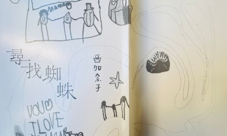 蜘蛛与癌症的关系，疾病为西加奈子带来的双重启示