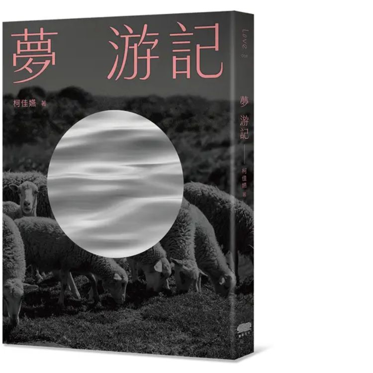 夢 游記